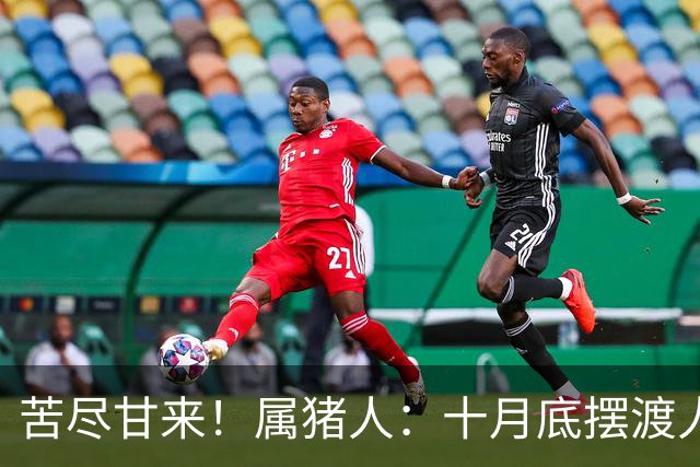 苦尽甘来！属猪人：十月底"摆渡人"悄然降临